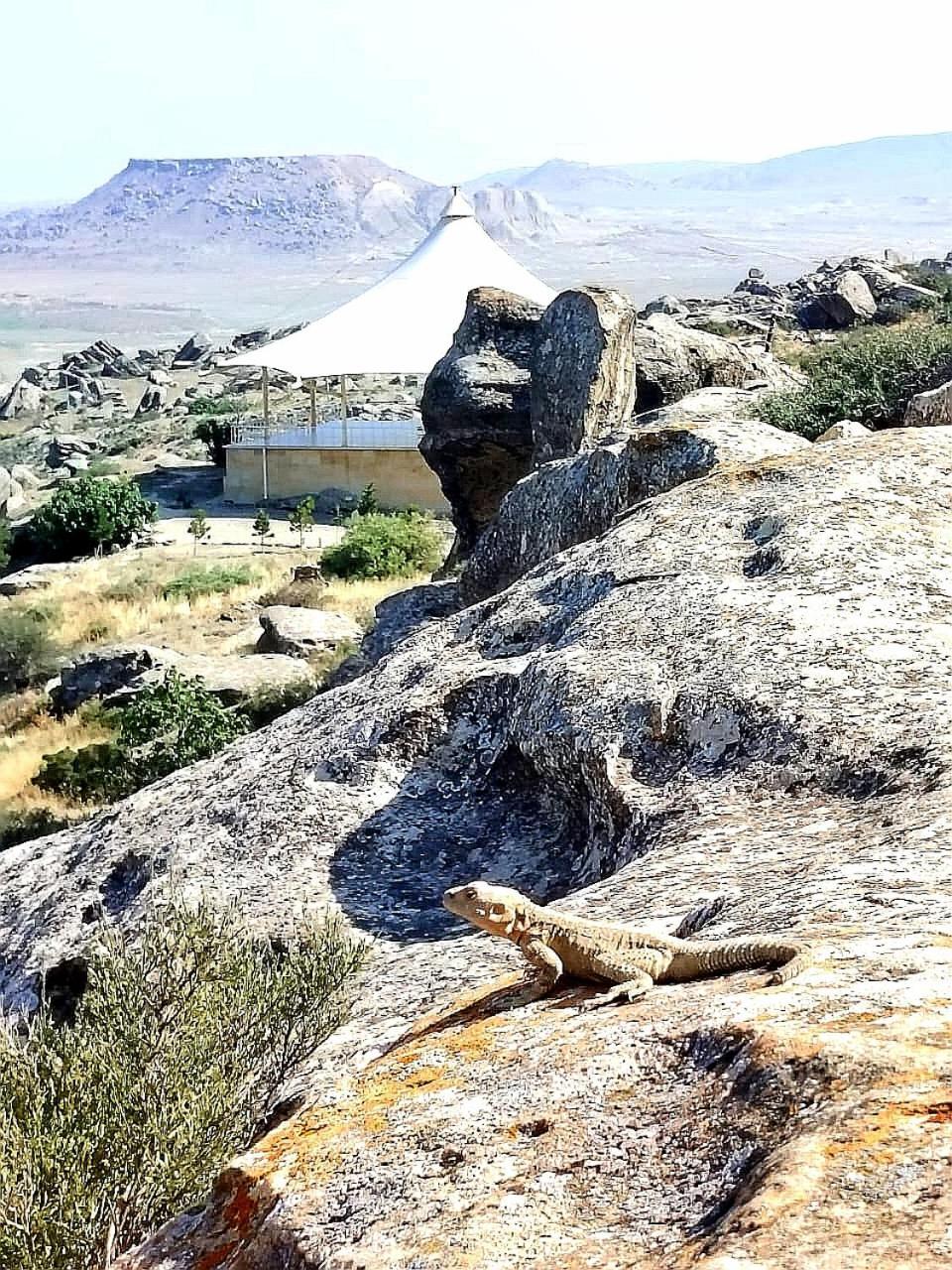 Baku "Black Mountain" Guest House Sangachal المظهر الخارجي الصورة