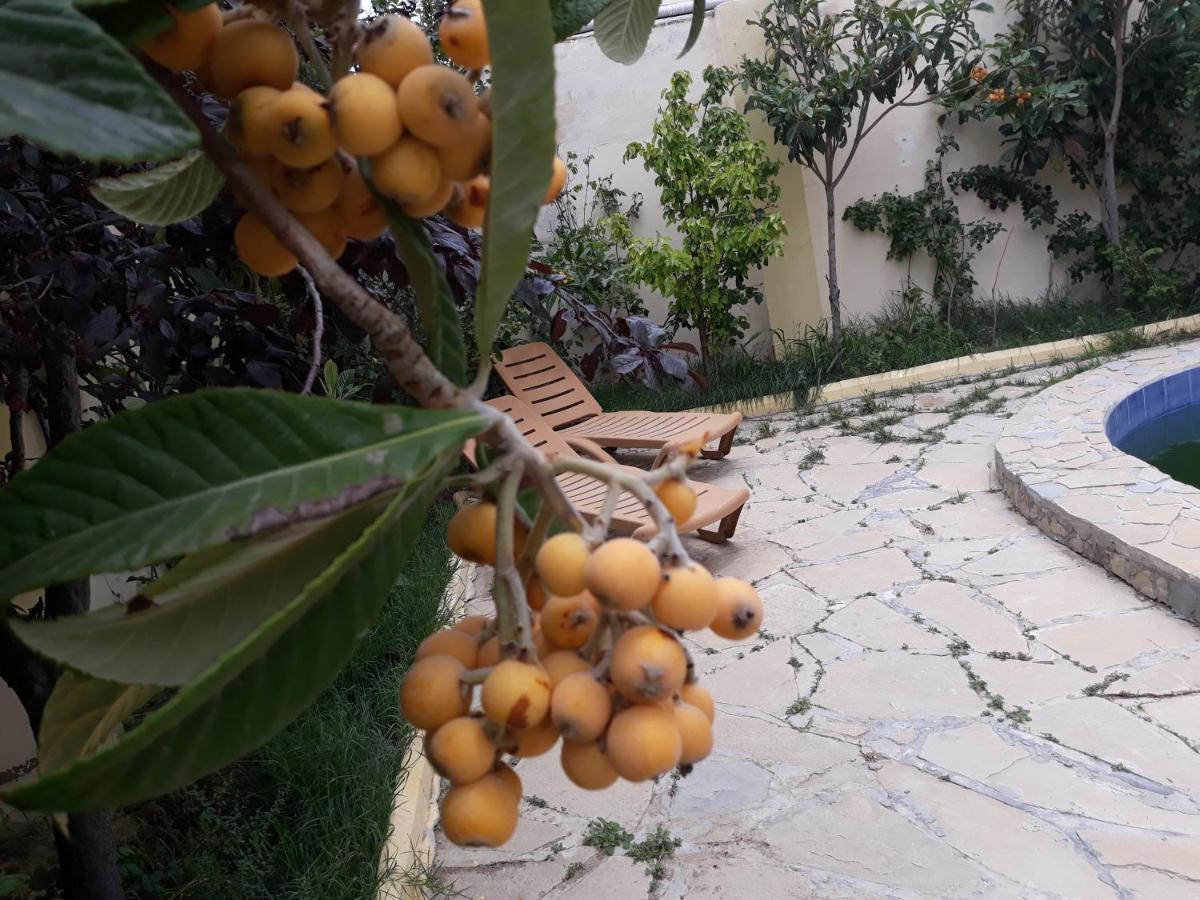 Baku "Black Mountain" Guest House Sangachal المظهر الخارجي الصورة
